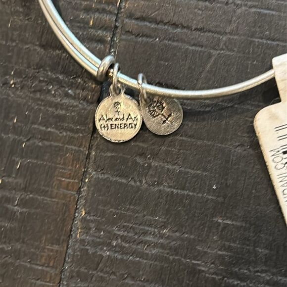 NWT Alex And Ani Yankee Stadium Baseball MLB New York Charm Bracelet Energy - Picture 4 of 7